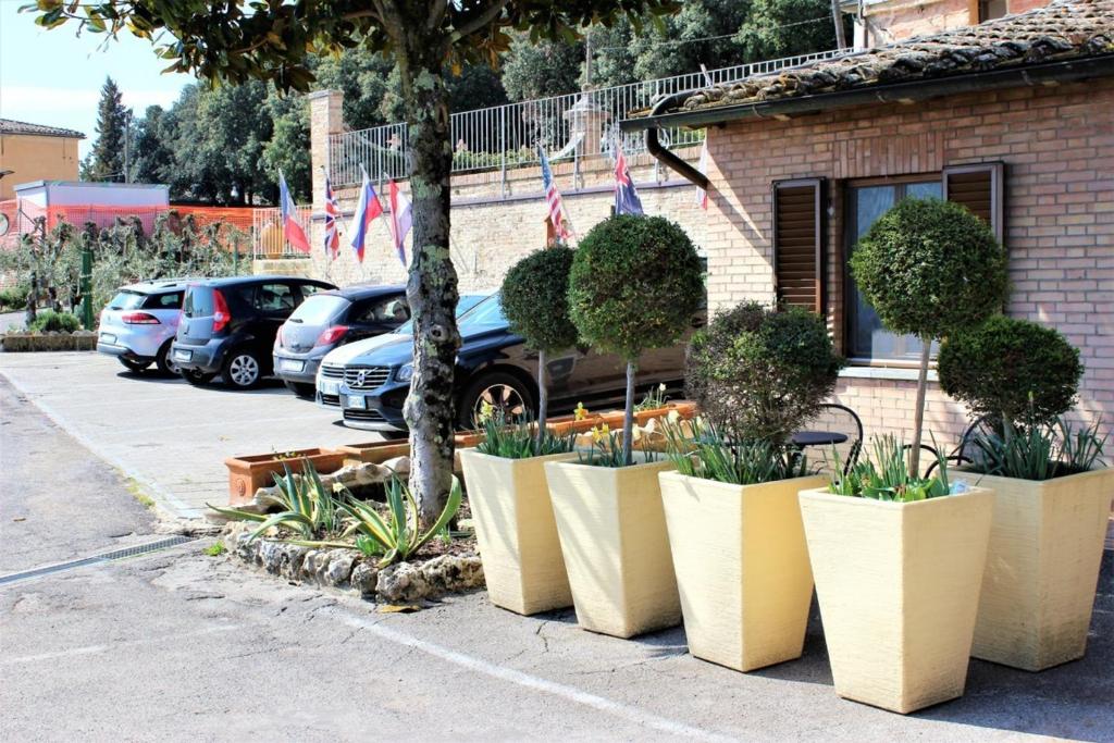 Zahrada ubytování Hotel Porta Romana di Luce Hotels