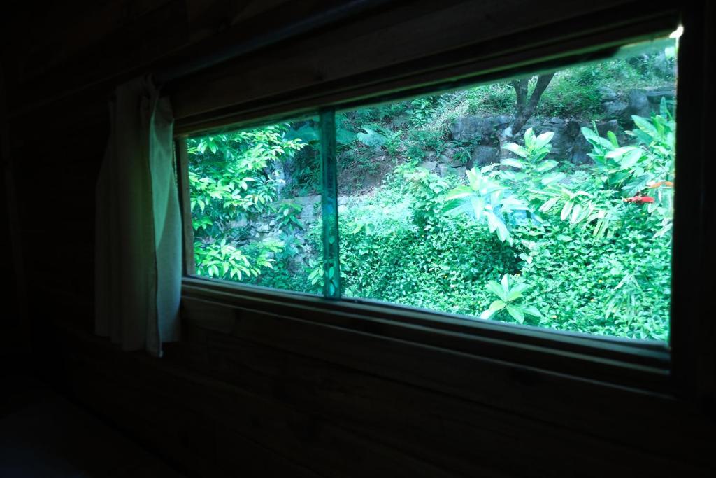 Blue Lagoon Cat Ba - 10