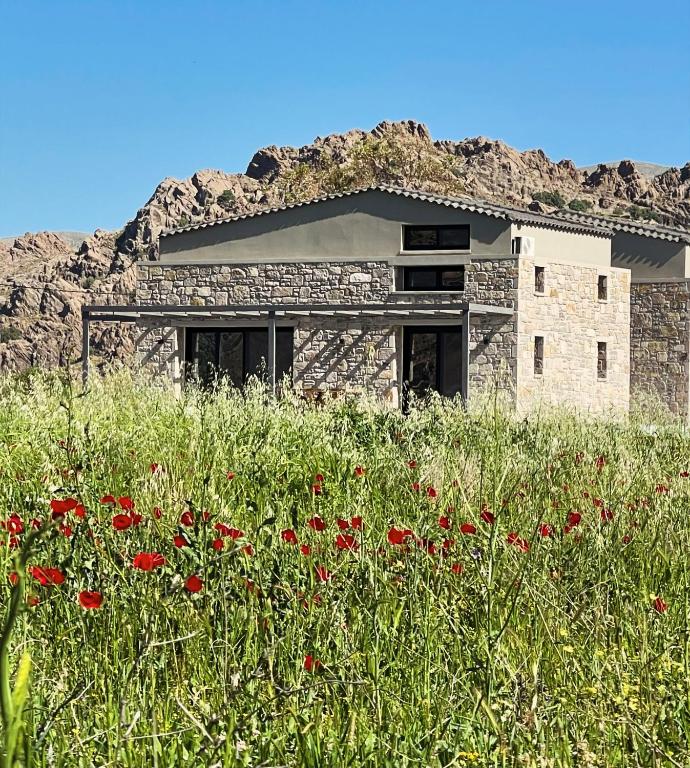 a building with a field of flowers in front of it at Petras Estate in Skala Eresou