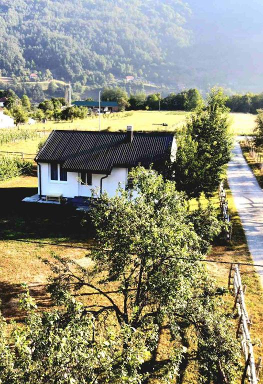 a small white house in a field with trees at Kosta's White House in Plav
