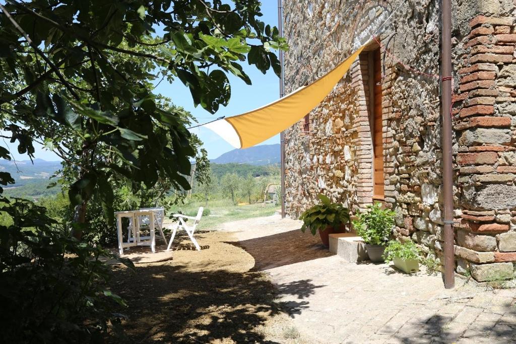 Príroda v okolí of the country house