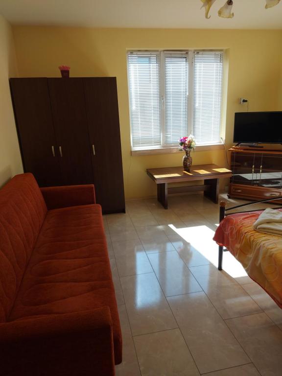 TV a/nebo společenská místnost v ubytování Viktoria House