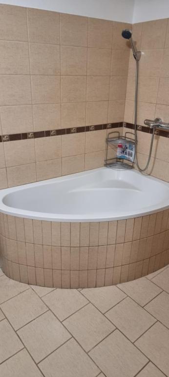 Koupelna v ubytování Apartmány Na rychtě