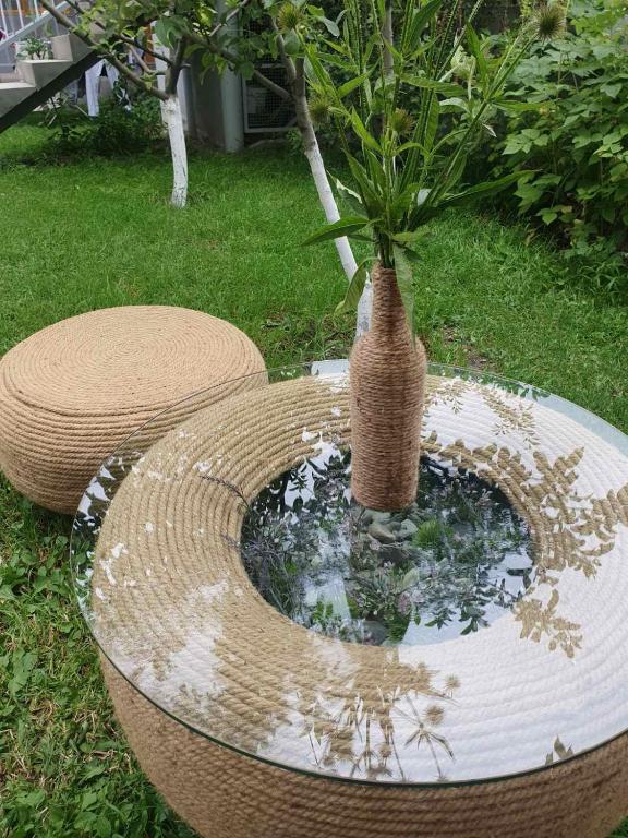Zahrada ubytování Andranik B&B