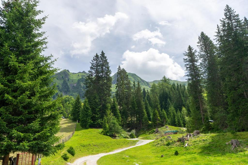 Příroda nedaleko apartmánu