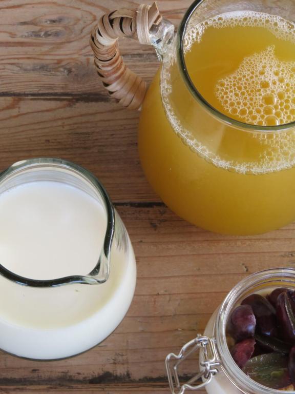 Bebidas em Clori Gaeta