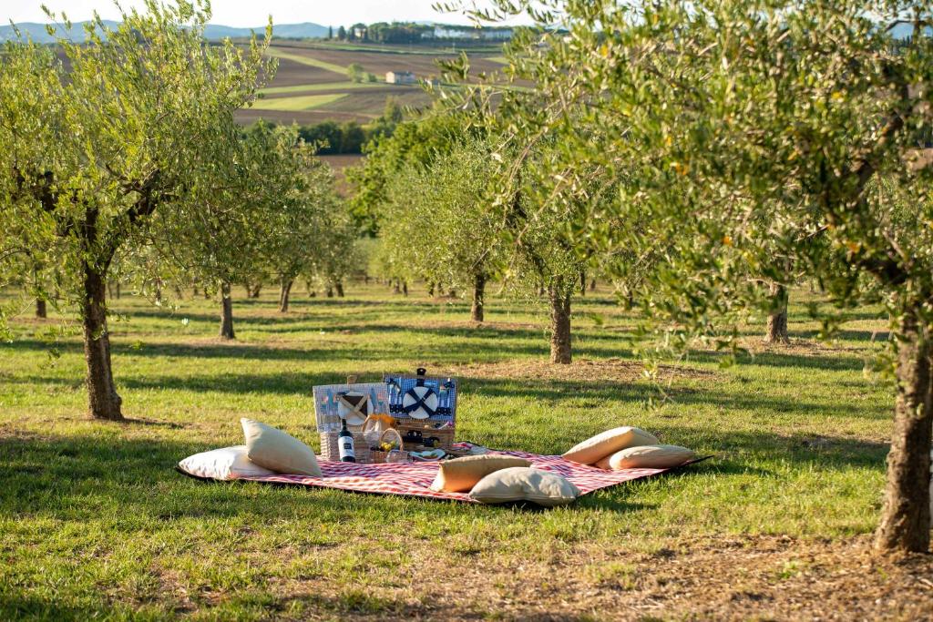 Ogród w obiekcie Tenuta dei Mori-Wine Relais Events