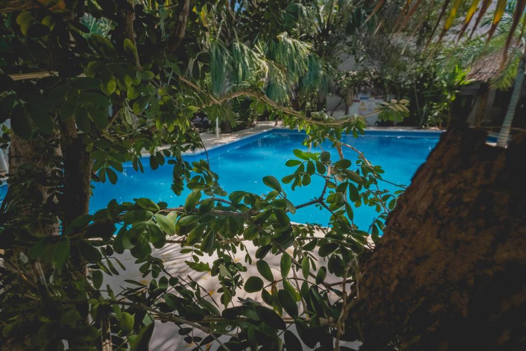 Bazén v ubytování Sotavento Hotel & Yacht Club nebo v jeho okolí