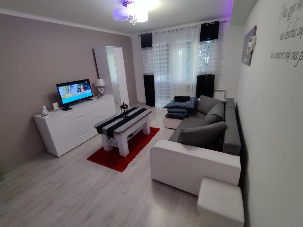 Μια τηλεόραση ή/και κέντρο ψυχαγωγίας στο Apartament Premium