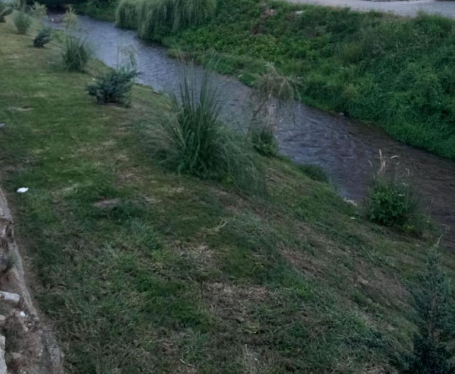 Foto dalla galleria di 2Rivers a Săsciori