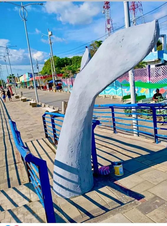 Fotografie z fotogalerie ubytování Hotel El Puerto v destinaci Tolú