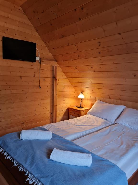 Brejowka - Standard Double Room