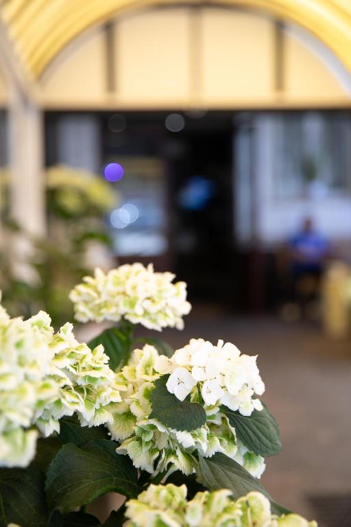 Zahrada ubytování Mannu Hotel