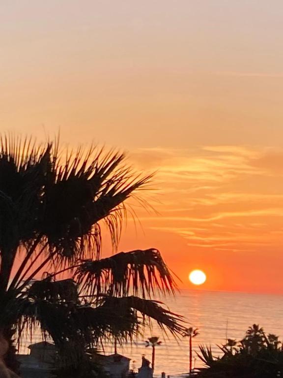 un coucher de soleil sur l'océan avec un palmier dans l'établissement Le Théthys C, à Six-Fours-les-Plages