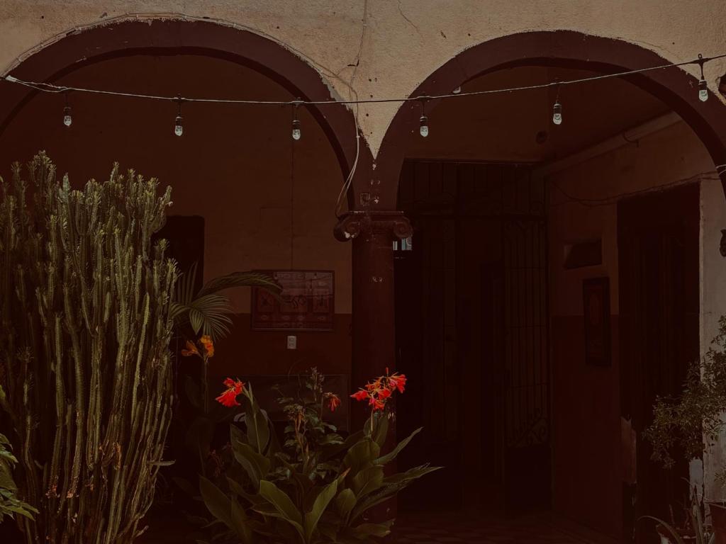 Fotografie z fotogalerie ubytování Hostal 509 v destinaci El Paraíso