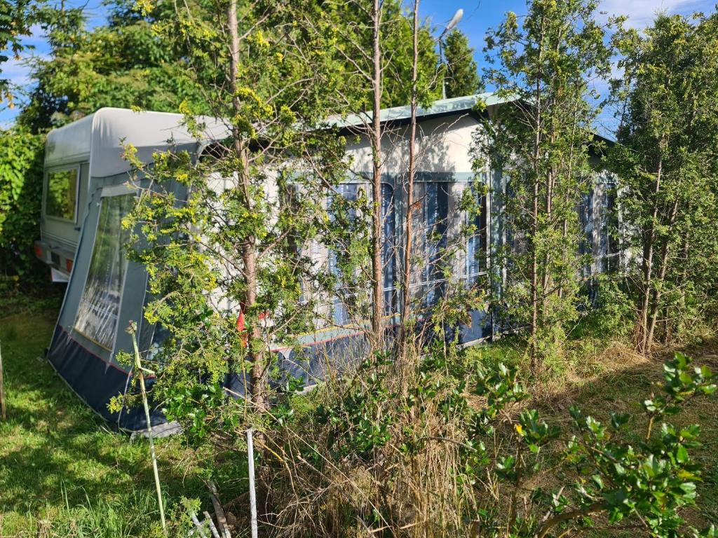 Zahrada ubytování Camping - Park Władysławowo