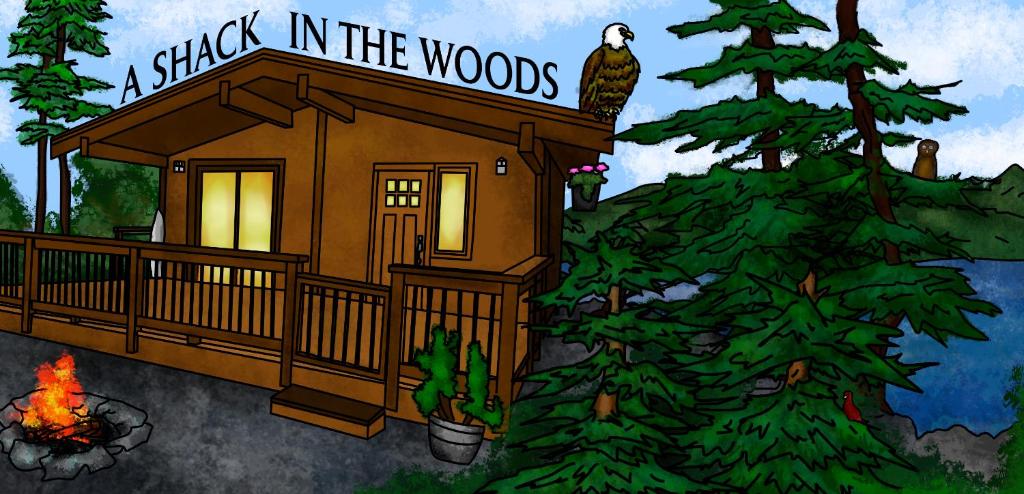 a shack in the woods with an owl sitting on a tree at A Shack In The Woods in Port Renfrew