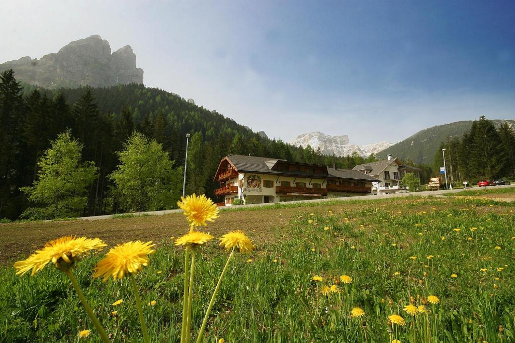 a field of yellow flowers in front of a building at Steinerhof in Braies