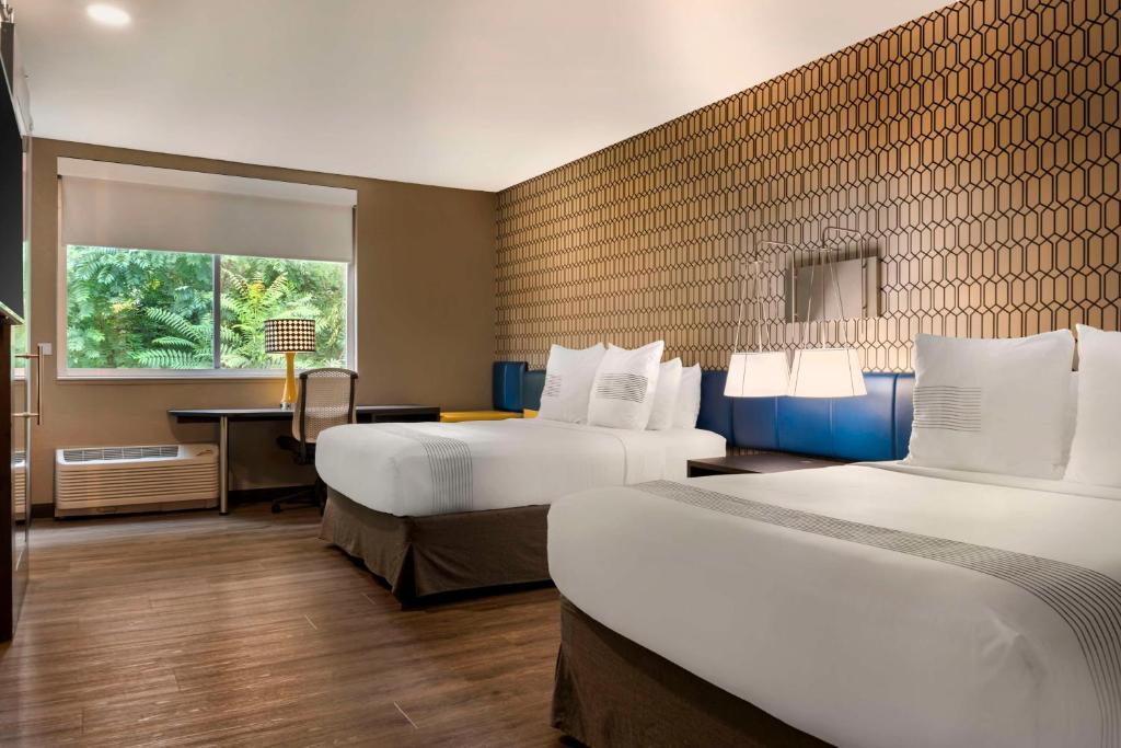 GLo Hotel Asheville-Blue Ridge Parkway photo