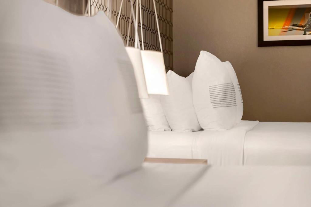 GLo Hotel Asheville-Blue Ridge Parkway photo