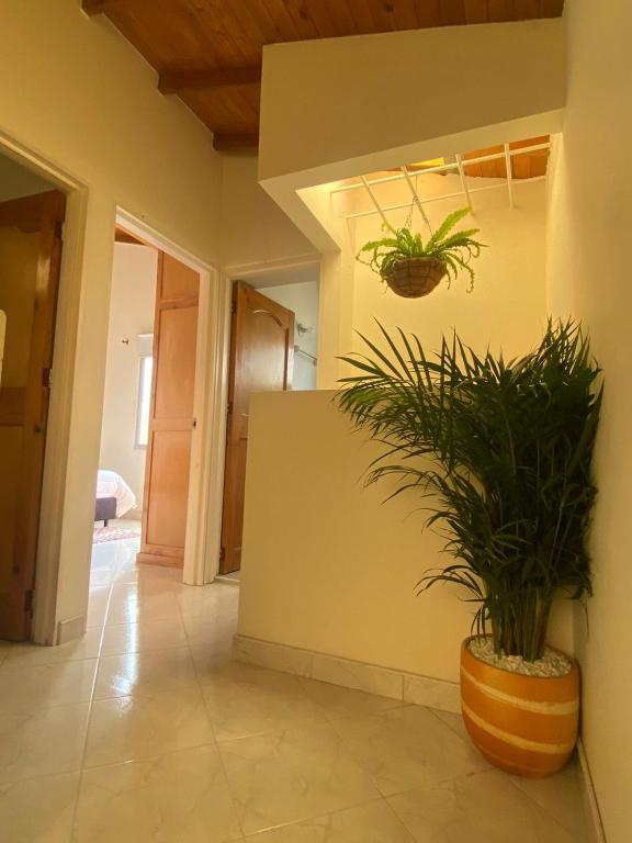 Fotografie z fotogalerie ubytování Casa Magia v destinaci Urrao
