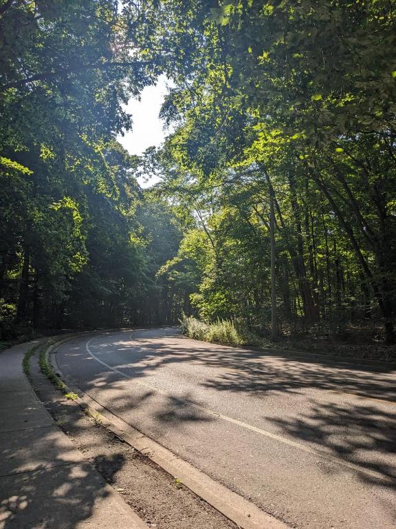 an empty road with trees on either side of it at Luxury Apartment Living in Mississauga