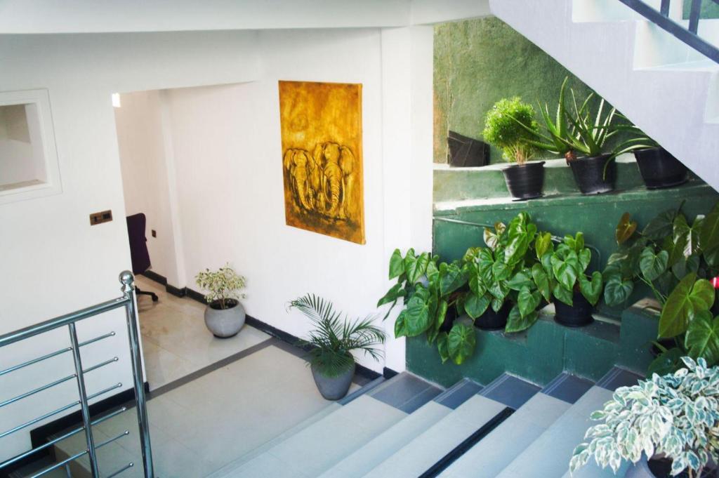 Fotografie z fotogalerie ubytování Ark Cabin Villa v destinaci Kandy