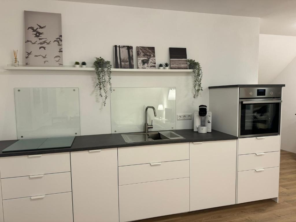 Η κουζίνα ή μικρή κουζίνα στο Ferienwohnung Auf Der Höll