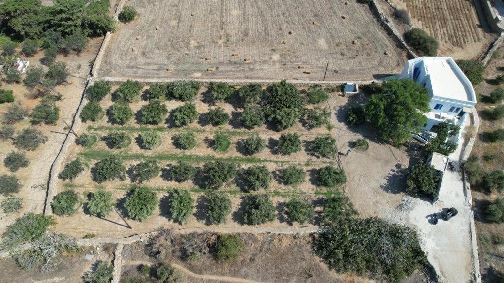 Gallery image of Maison Grecque Style Hacienda in Ios Chora