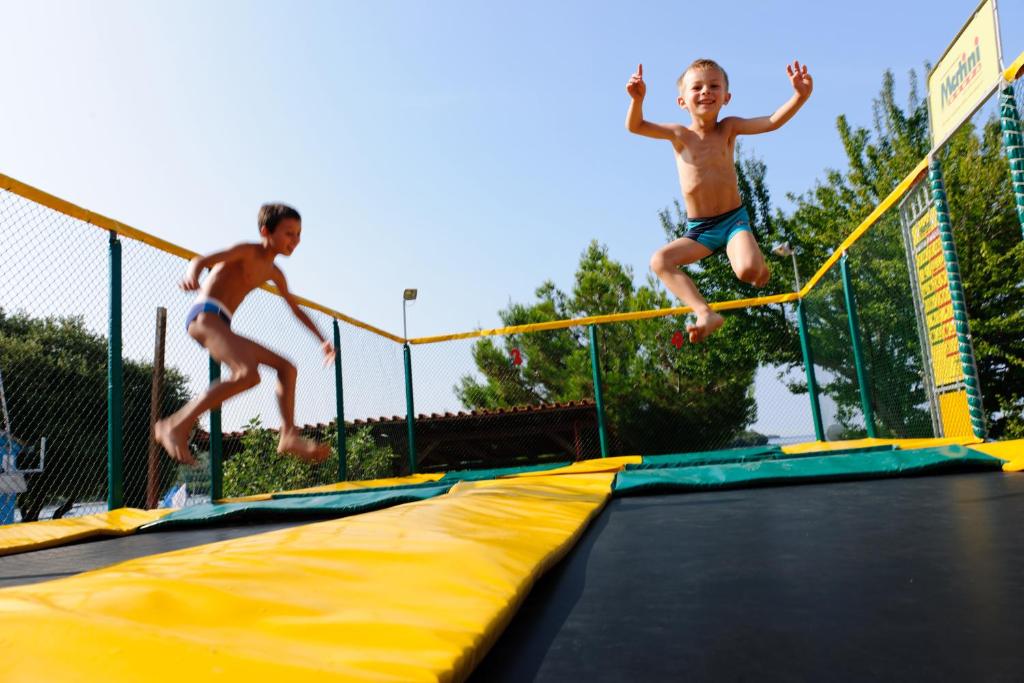 Goście zatrzymujący się w obiekcie Maistra Camping Veštar Mobile homes