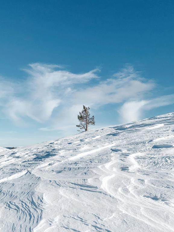 Lux Lapland Gielas Utsuvaara Levi зимой