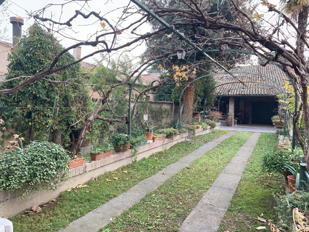 Zahrada ubytování Casa di Terry