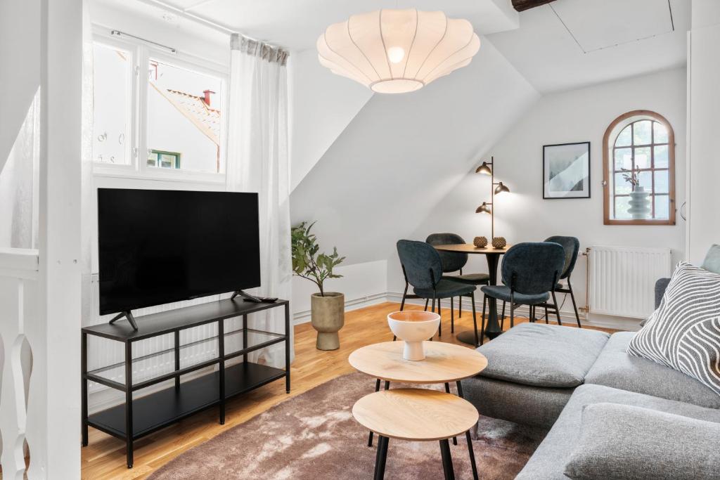 a living room with a couch and a tv at Magle Lilla Kyrkogata in Lund