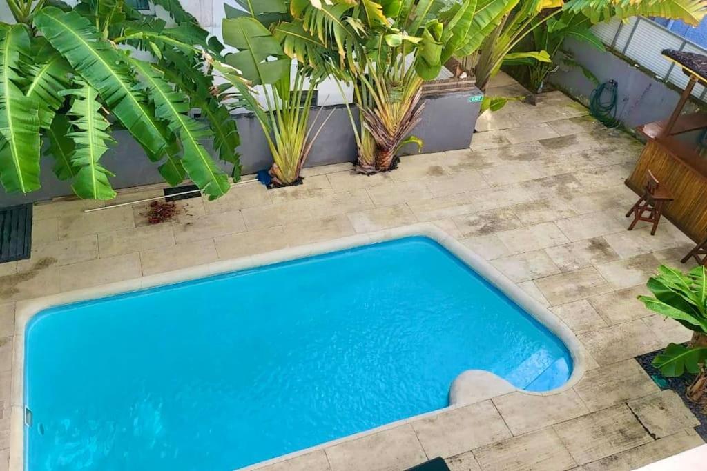 格兰贝伊Fully equipped Studio with pool in Grand Bay的享有种植了植物的游泳池的顶部景致