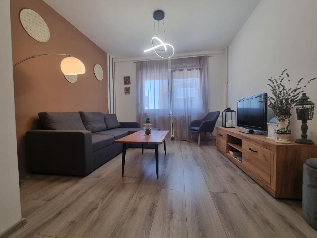 TV a/nebo společenská místnost v ubytování Apartman Centar