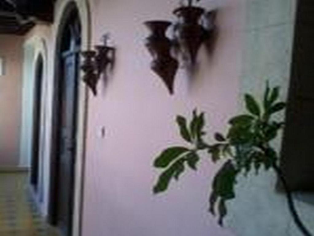 Fotografie z fotogalerie ubytování Riad Etoile D'essaouira v destinaci Essaouira