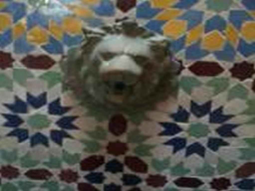 Fotografie z fotogalerie ubytování Riad Etoile D'essaouira v destinaci Essaouira