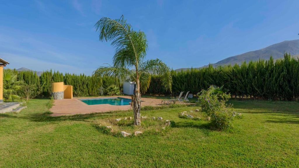a palm tree in a yard with a swimming pool at La Chumbera Órgiva by Ruralidays in Órgiva