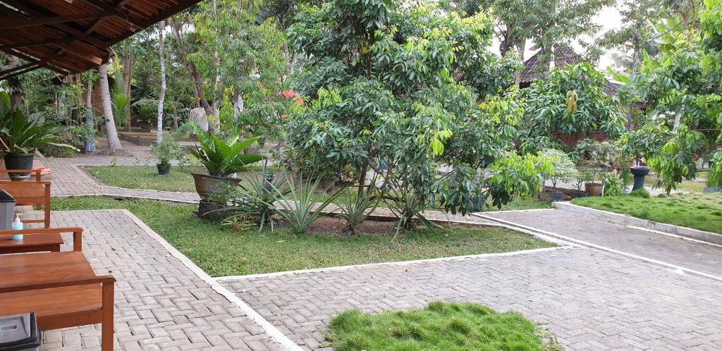 Anugrah Borobudur - 1