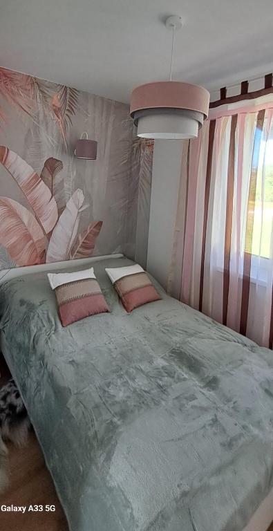 Siedlisko Czapla koło Suntago - Appartamento Standard Con Una Camera Da Letto