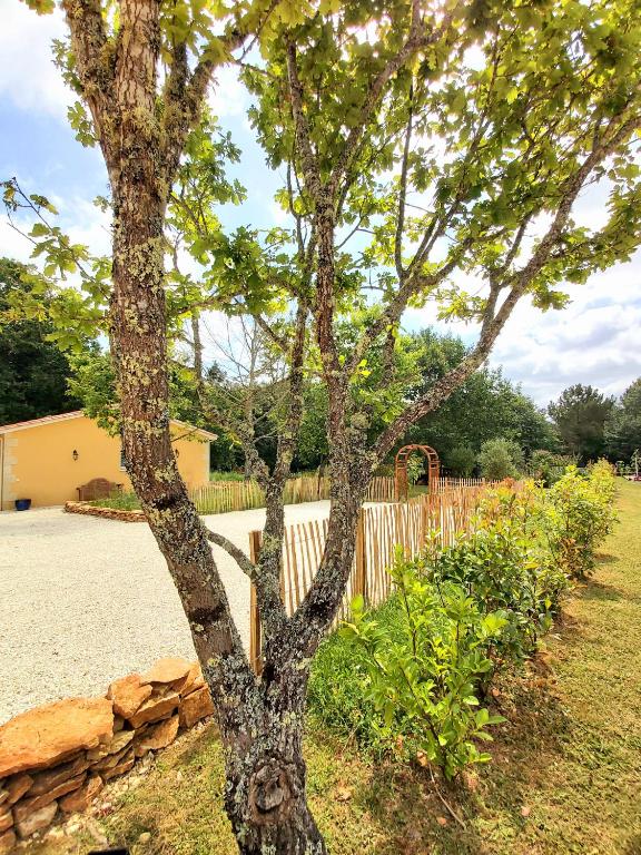 un arbre dans une cour à côté d'une clôture en pierre dans l'établissement Cocon du Bonheur, à Marsaneix