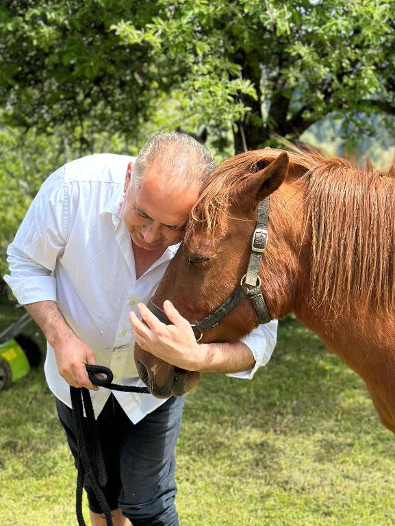 Zvířata v venkovského domu nebo okolí