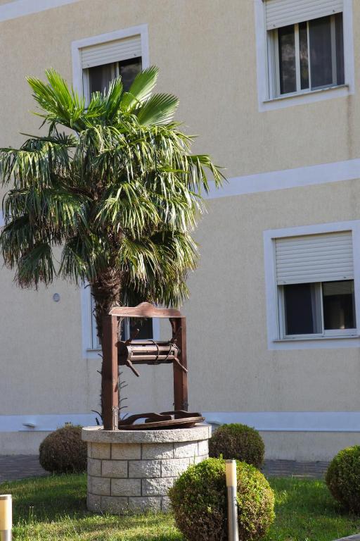 a tree sitting in a pot in front of a building at Villa Apet 23 in Shkodër