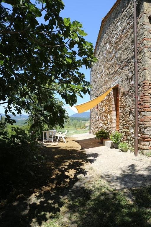 Príroda v okolí of the country house