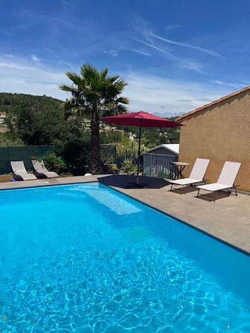 une piscine bleue avec des chaises et un palmier dans l'établissement Gîte la Villa Cerisier, à Cabasse