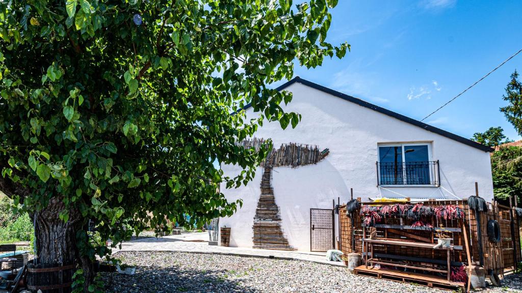 Zahrada ubytování Suites con Vista Panoramica e Home Restaurant - Pet Friendly nel Monferrato