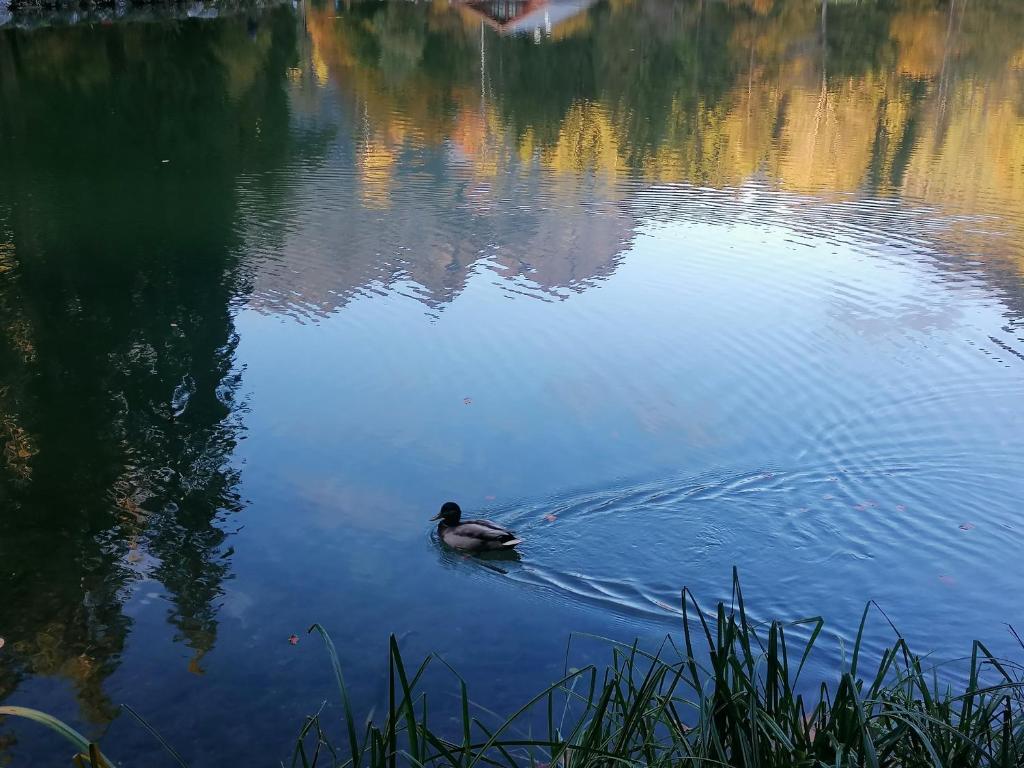 Výhled na řeku, která protéká v blízkosti bed and breakfast