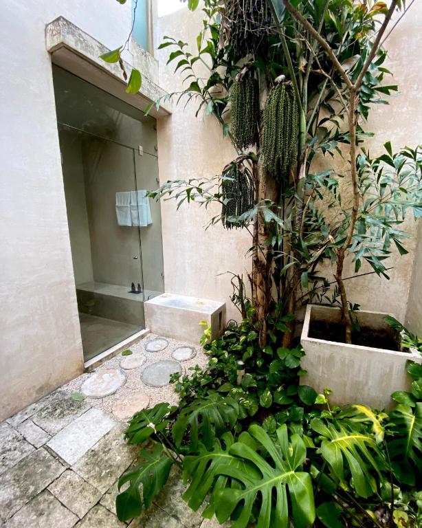 Um jardim no exterior de Colonte Hotel Origen