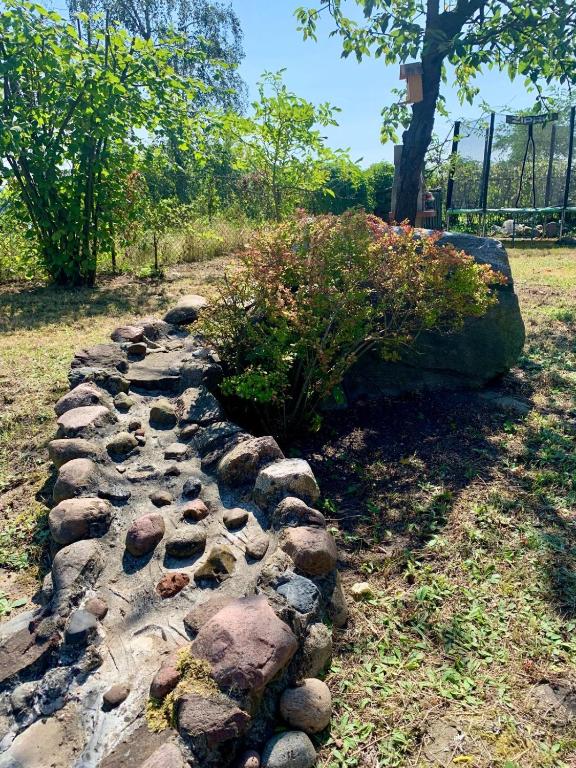 Giardino di Dom z widokiem na Wisłę, ogrodem i parkingiem AC Progres