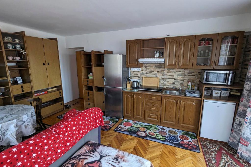 Kuchyň nebo kuchyňský kout v ubytování Vila Imagina
